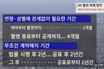 일본에서 AV 신법이 통과되면 불러올 나비효과?