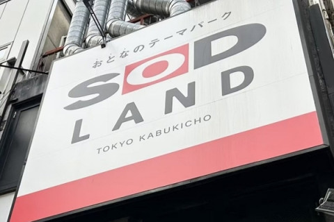 풍속 영업법 위반 'SOD LAND' 풍속 영업 허가 획득 후 영업 재개!