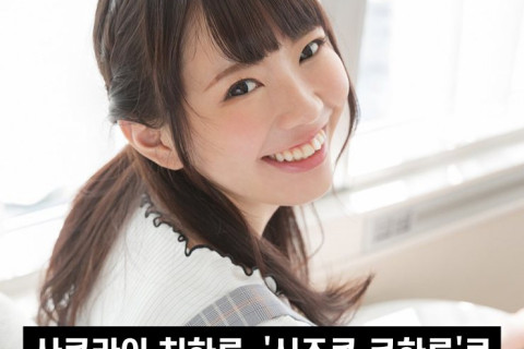 사쿠라이 치하루 복귀, '시즈쿠 코하루'로 활동명 변경 후 AV 복귀 발표