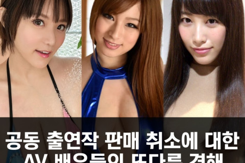 공동 출연작 판매 취소에 대한 AV 배우들의 또다른 견해 Feat. 치나민, 스노하라 미키