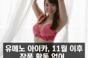 유메노 아이카 11월 이후 작품 활동 없어.. X 계정은 12월 이후 활동 없음