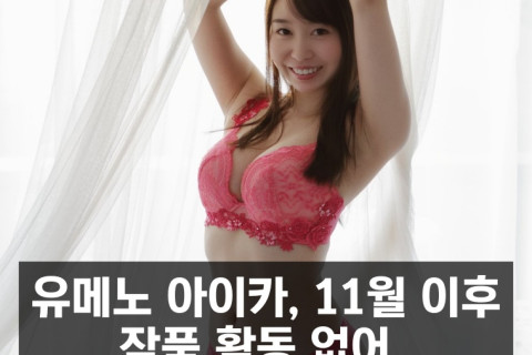 유메노 아이카 11월 이후 작품 활동 없어.. X 계정은 12월 이후 활동 없음