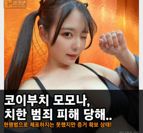폭유 AV 배우 코이부치 모모나, 치한 범죄 피해 당해.. 현행범으로 체포는 하지 못했지만 증거 확보 상태!