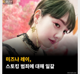 미즈나 레이, 스토킹 범죄에 대해 일갈