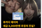 후카다 에이미  세금 8,000만엔 추징의 진실? 전 소속사 회장의 반박과 후카다 에이미의 이중장부