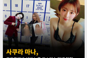 사쿠라 마나, 도쿄도지사 선거 노출 포스터 논란에 일침
