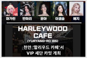 바이크 성지 천안 ‘할리우드 카페’서 VIP 세단 카밋 개최... 유명 레이싱 모델 5명 출동