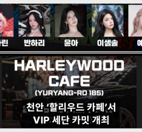 바이크 성지 천안 ‘할리우드 카페’서 VIP 세단 카밋 개최... 유명 레이싱 모델 5명 출동